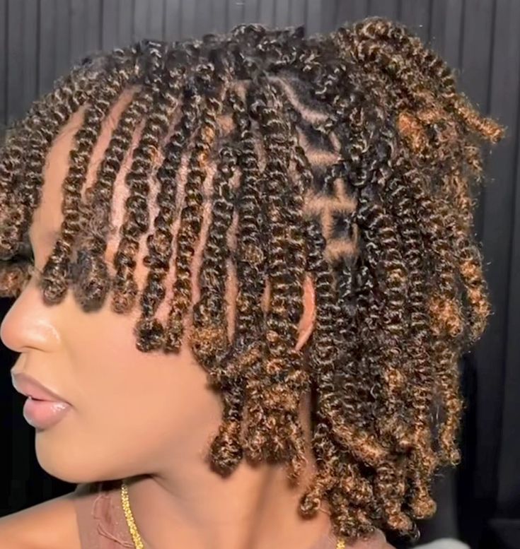 Other Gorgeous Natural Hair Twist Styles