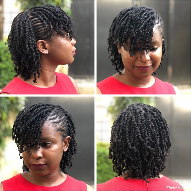 Other Gorgeous Natural Hair Twist Styles
