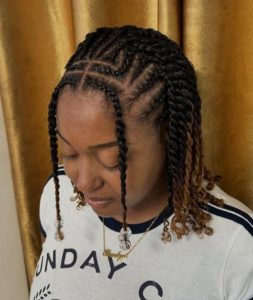 Natural Hair Twist Styles