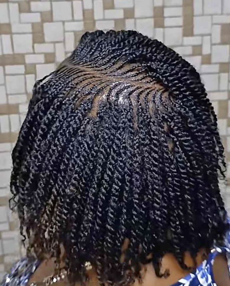 Other Gorgeous Natural Hair Twist Styles